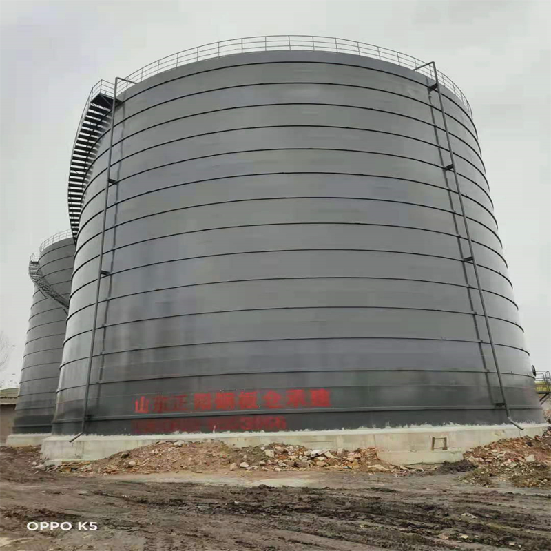 雅江3万吨大型钢板库