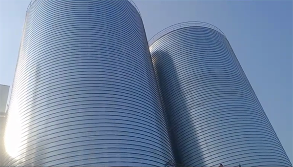 雅江2座混凝土高架卷板仓